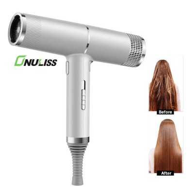 Hot Selling Salon Professional DC Motor with Concentrator/Diffuser/Ionic Professional Blow Hair Dryer