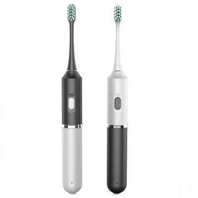 Wholesale Rechargeable Automatic Sonic Electric Toothbrush